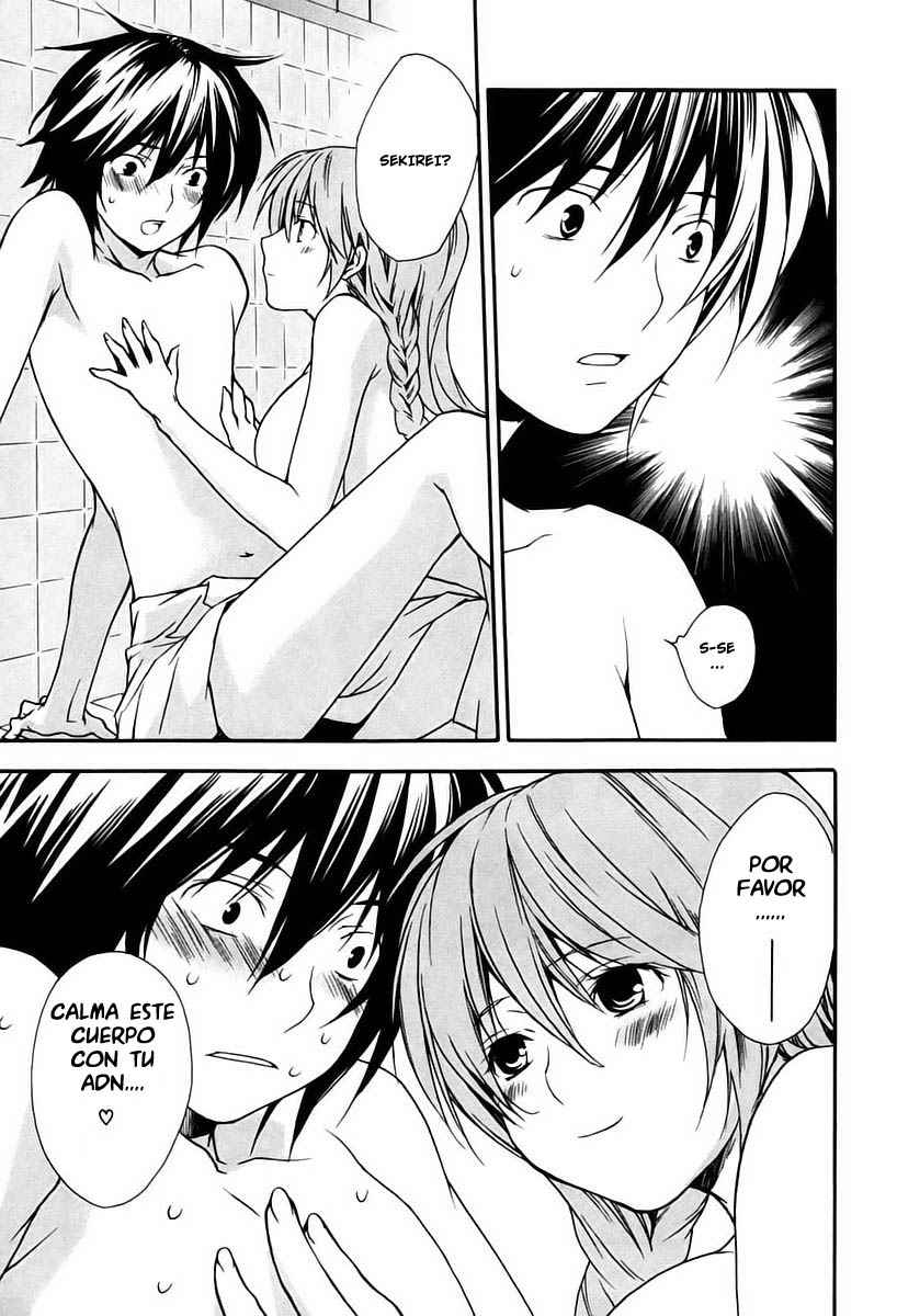 Read Sekirei (es) Manga Online