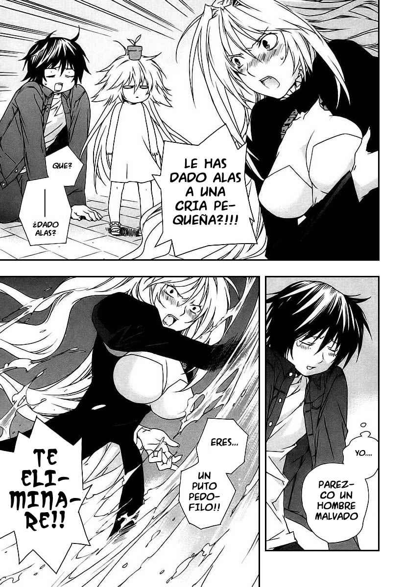 Read Sekirei (es) Manga Online