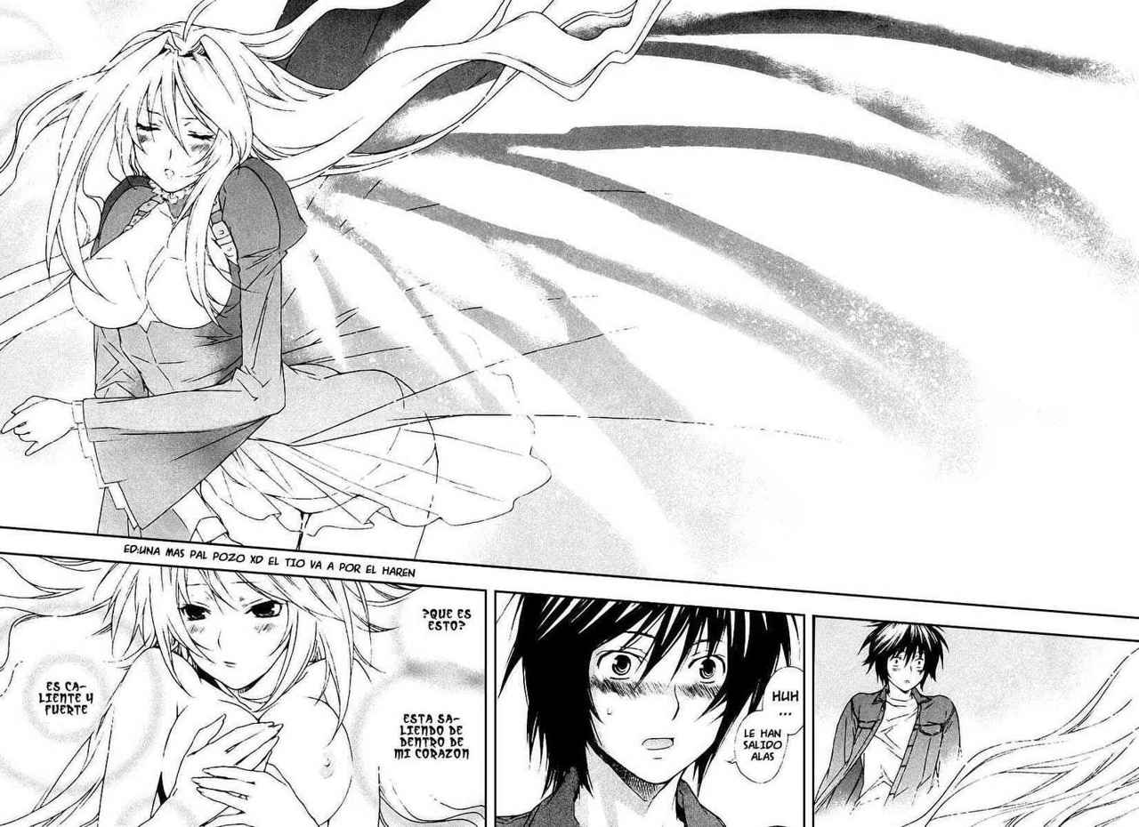 Read Sekirei (es) Manga Online