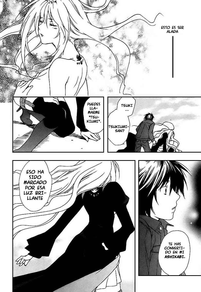 Read Sekirei (es) Manga Online