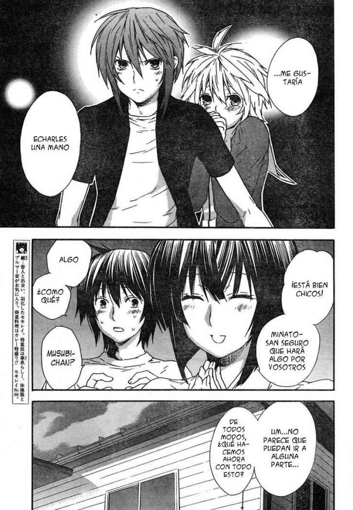 Read Sekirei (es) Manga Online
