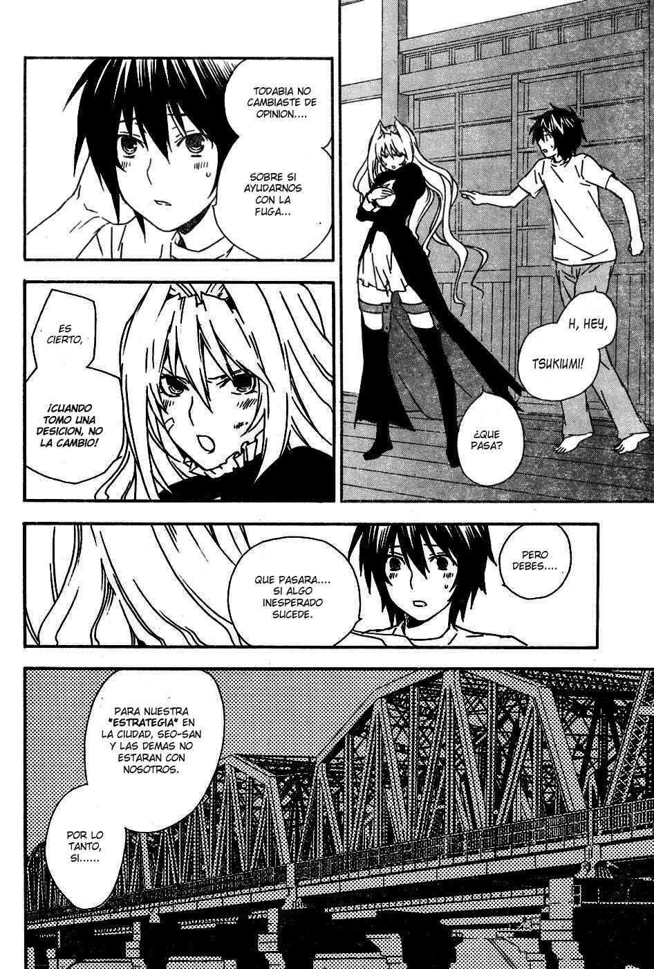 Read Sekirei (es) Manga Online