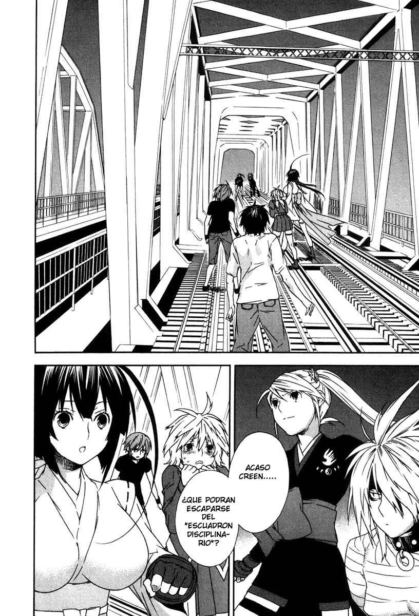 Read Sekirei (es) Manga Online