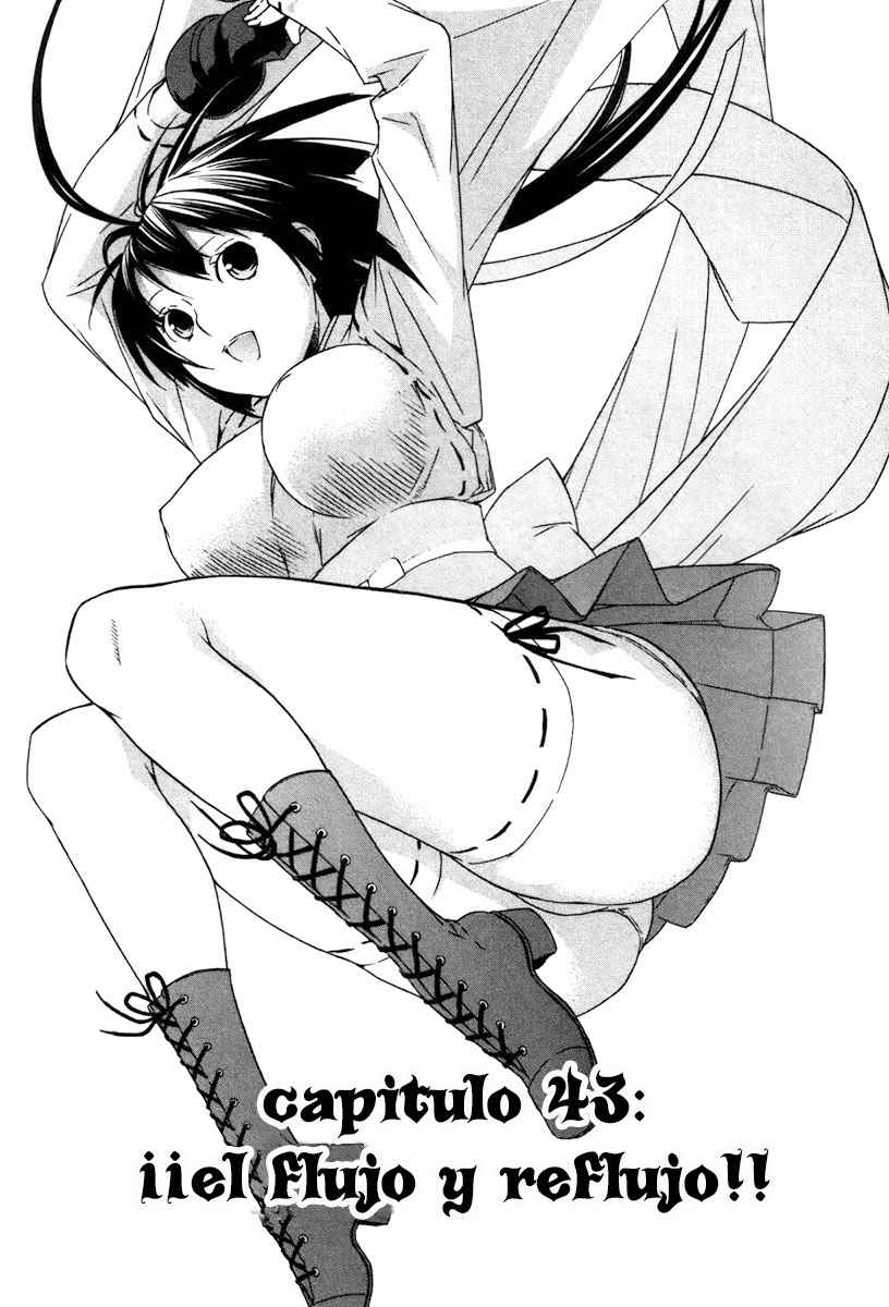 Read Sekirei (es) Manga Online