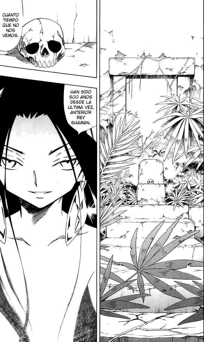 Read Shaman King (Kanzenban Edition) (es) Manga Online