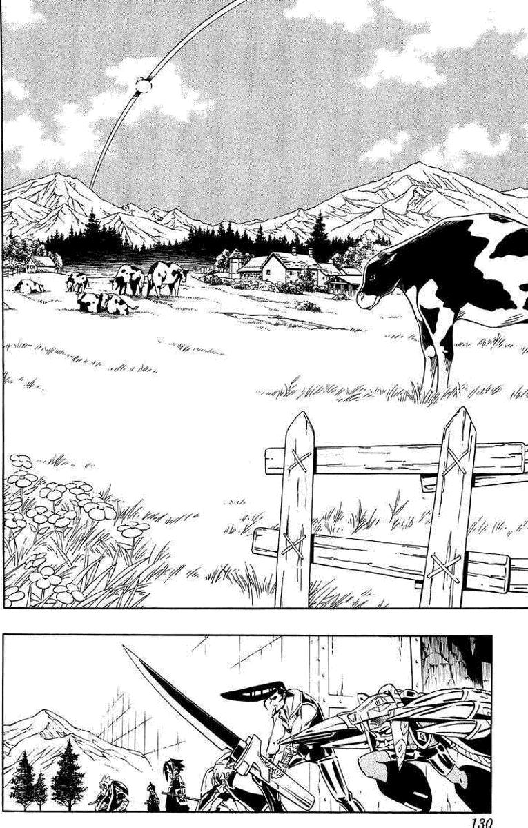 Read Shaman King (Kanzenban Edition) (es) Manga Online