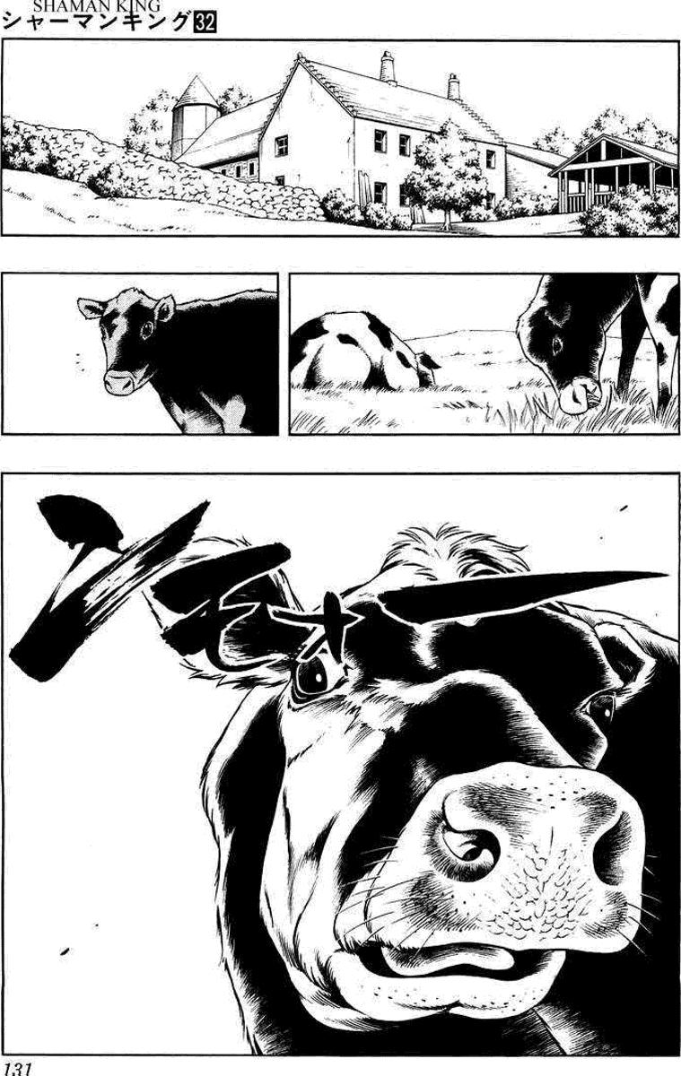 Read Shaman King (Kanzenban Edition) (es) Manga Online