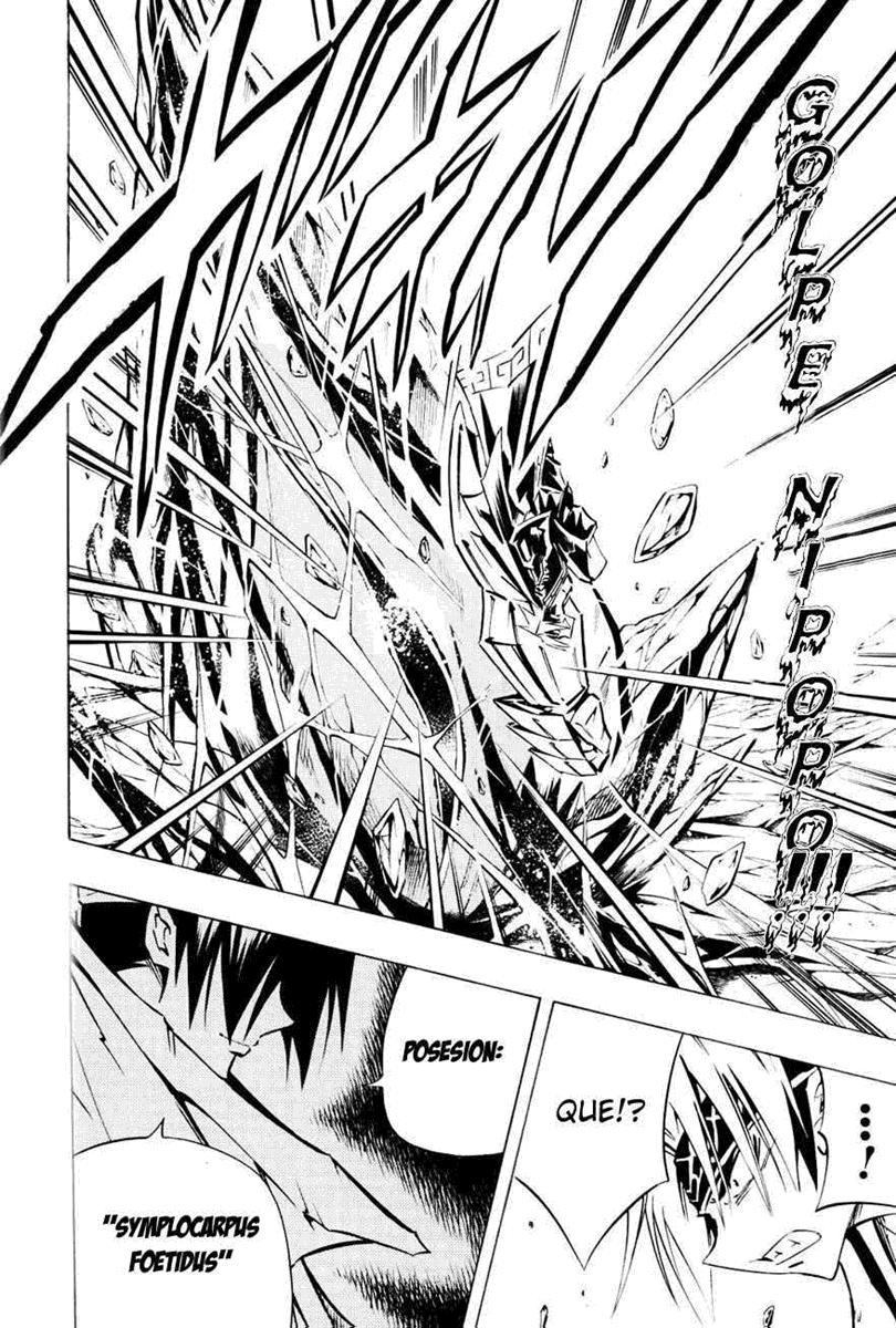 Read Shaman King (Kanzenban Edition) (es) Manga Online