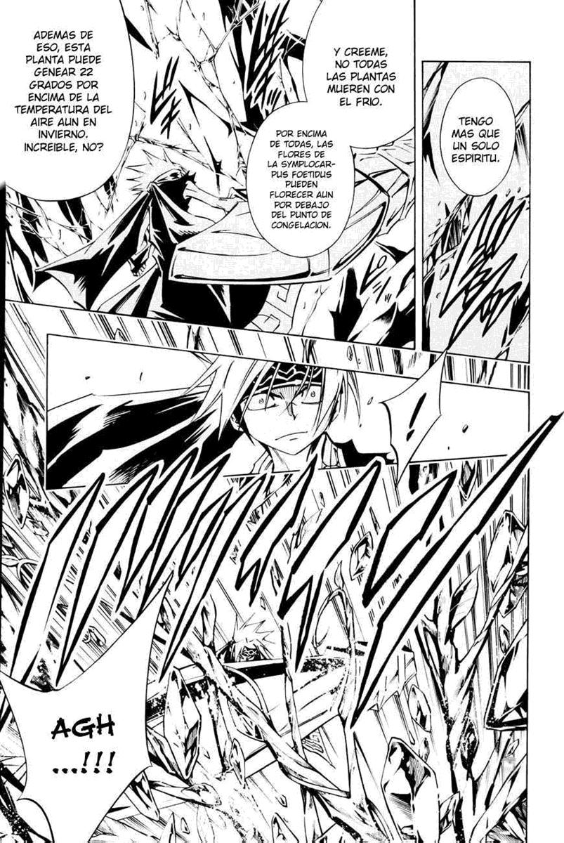 Read Shaman King (Kanzenban Edition) (es) Manga Online