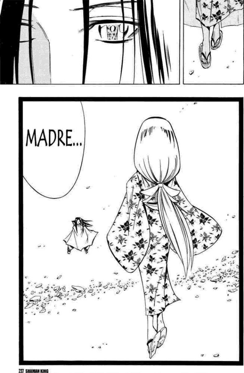 Read Shaman King (Kanzenban Edition) (es) Manga Online