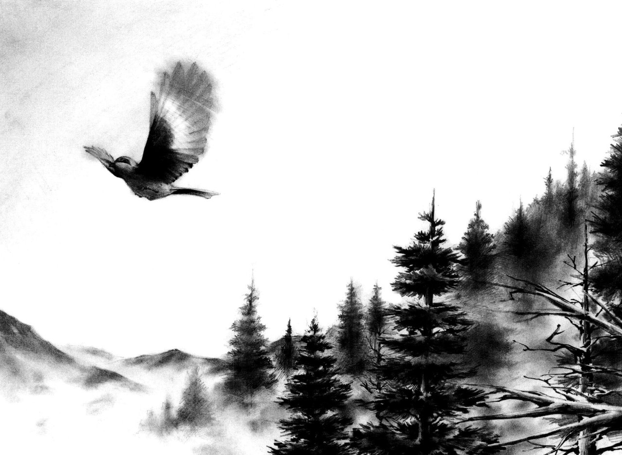 Read Sidooh (es) Manga Online