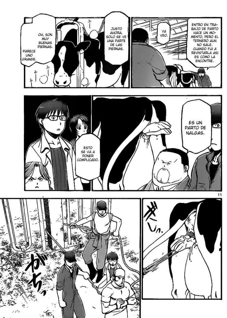 Read Silver Spoon (es) Manga Online