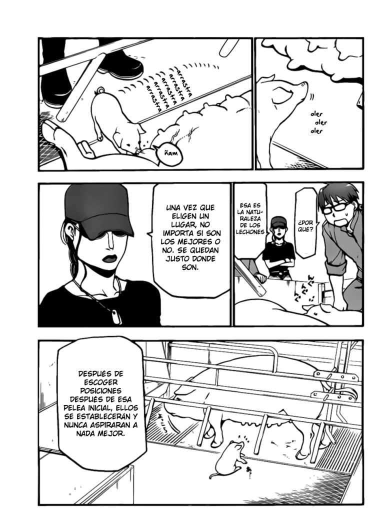 Read Silver Spoon (es) Manga Online