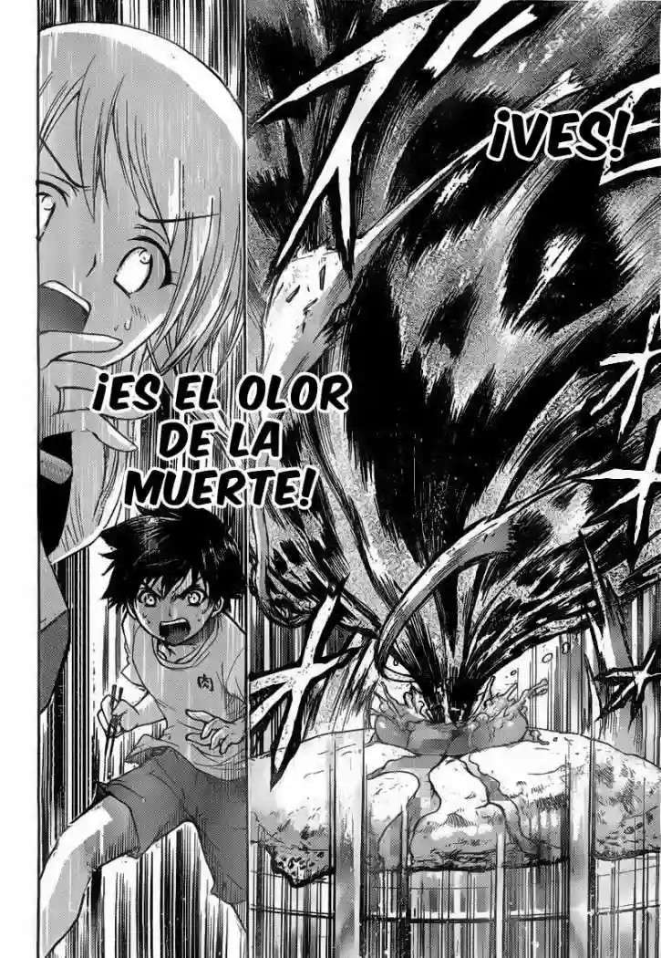 Read Sora no Otoshimono (es) Manga Online