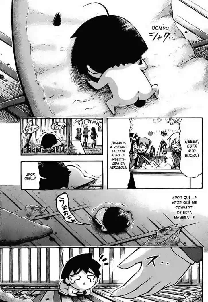 Read Sora no Otoshimono (es) Manga Online