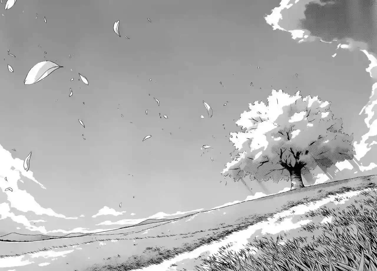 Read Sora no Otoshimono (es) Manga Online