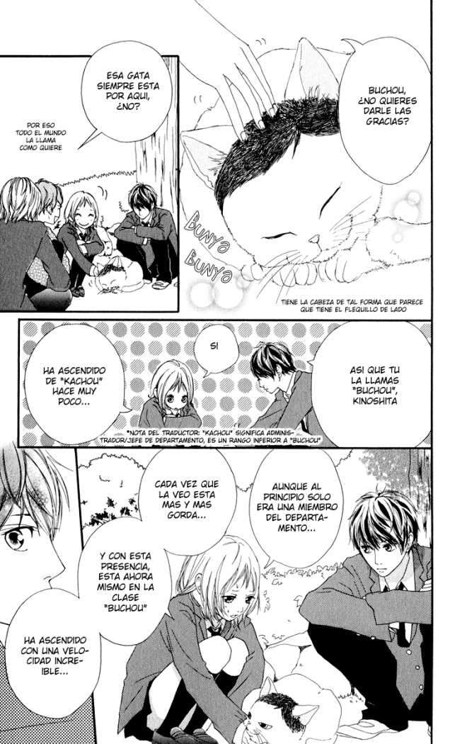 Read Strobe Edge (es) Manga Online