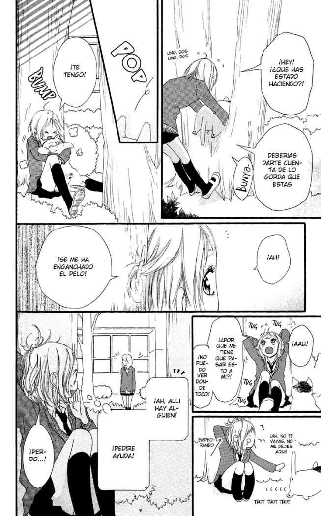 Read Strobe Edge (es) Manga Online