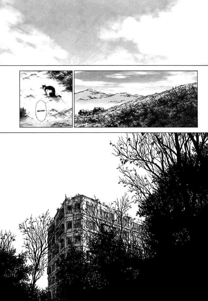 Read Sun Ken Rock (es) Manga Online