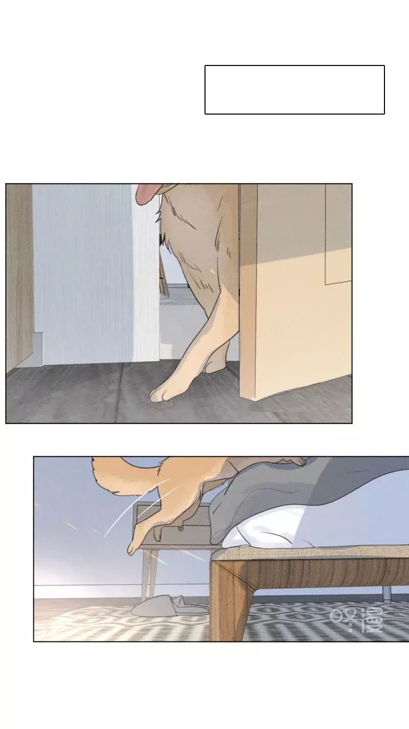 Read Te encontré (es) Manga Online