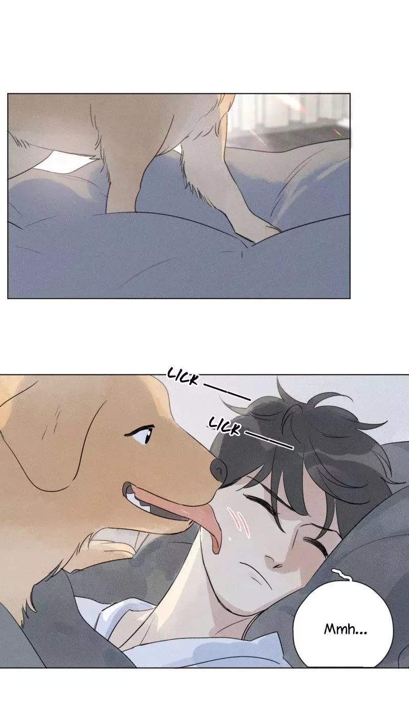 Read Te encontré (es) Manga Online