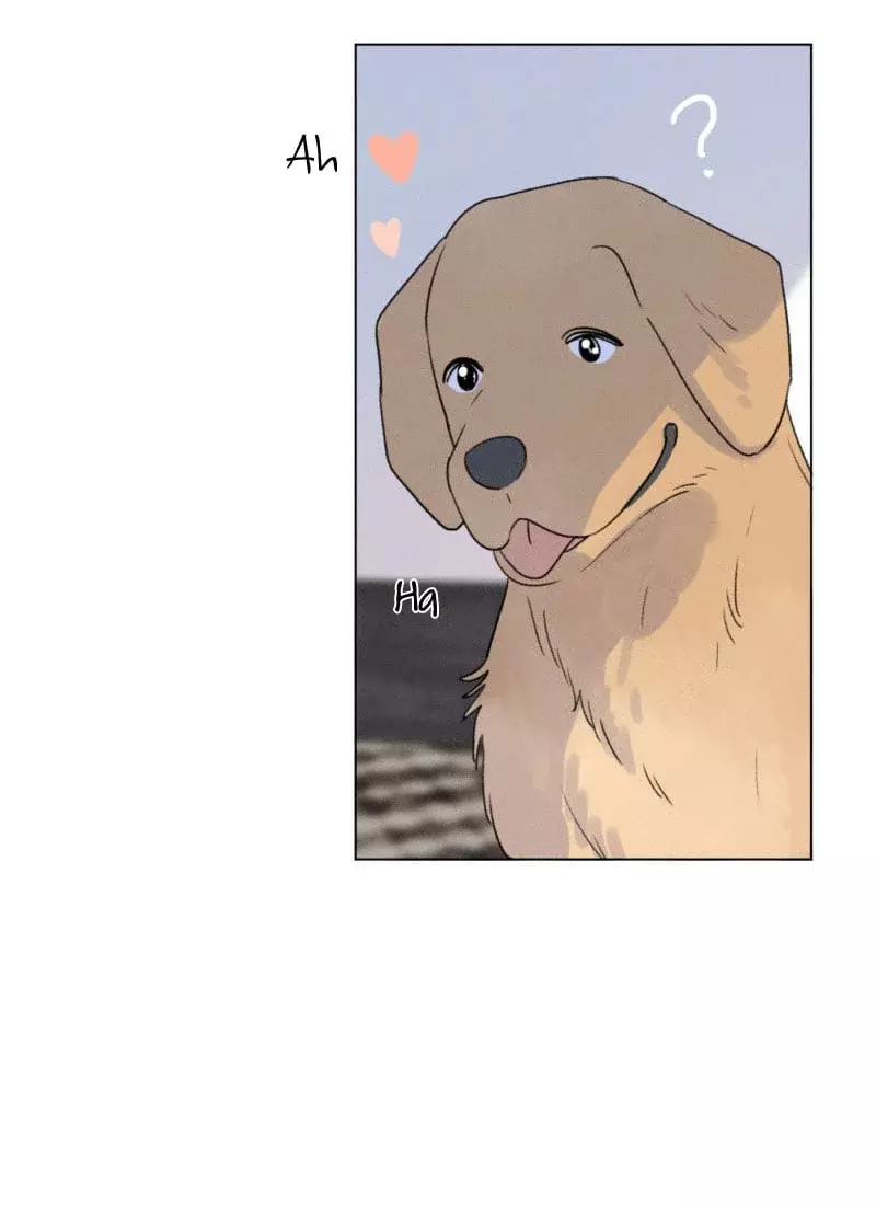 Read Te encontré (es) Manga Online