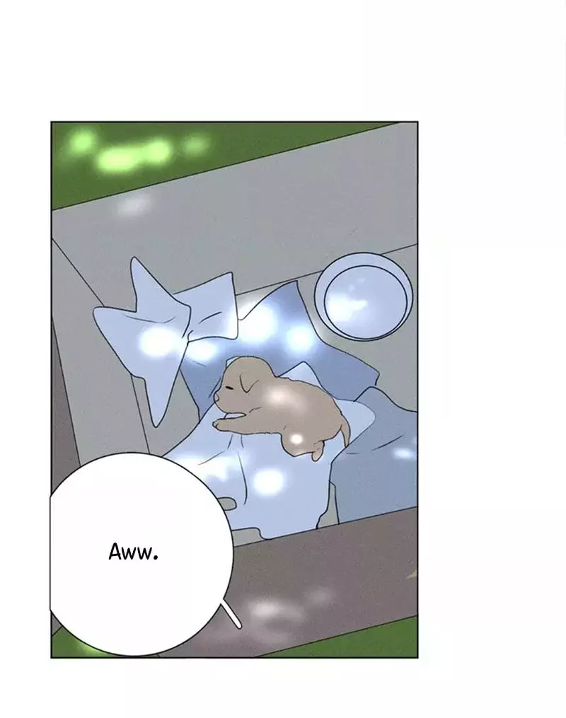 Read Te encontré (es) Manga Online