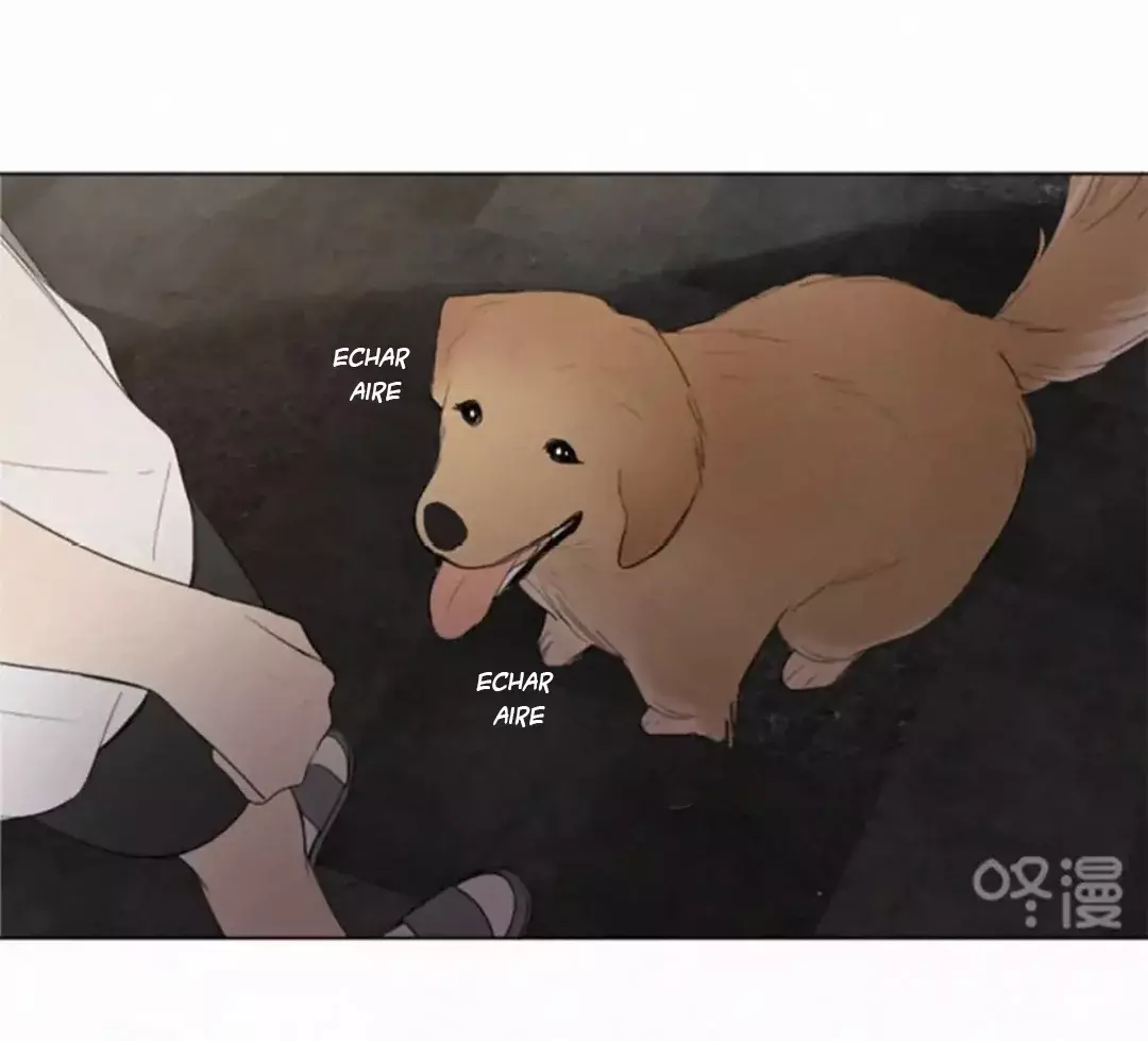 Read Te encontré (es) Manga Online