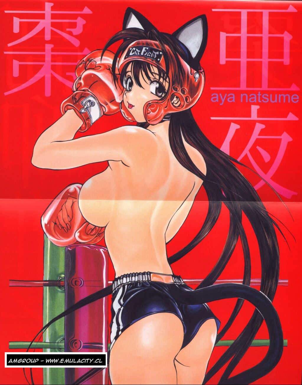 Read Tenjou Tenge (es) Manga Online