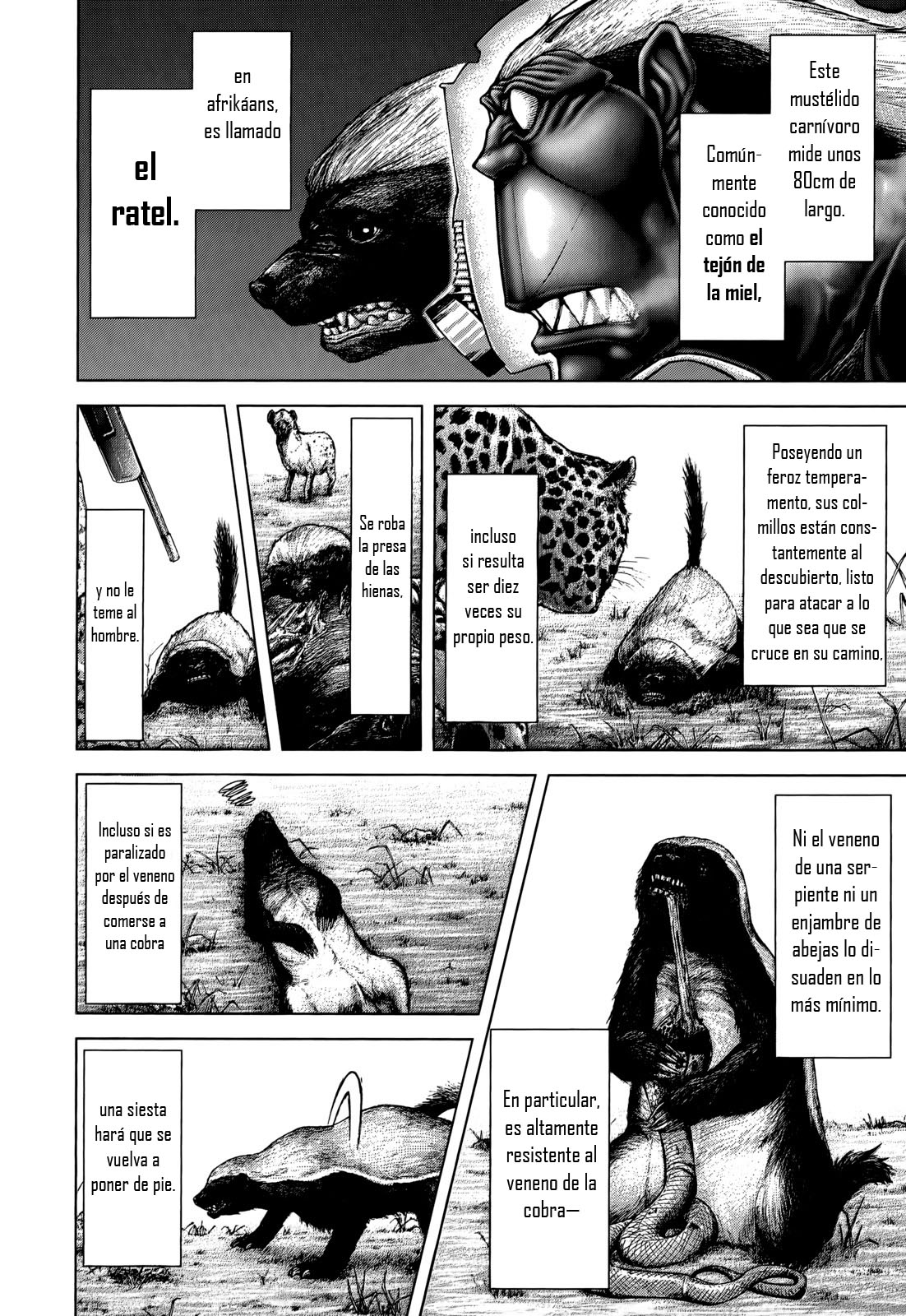 Read Terra Formars (es) Manga Online