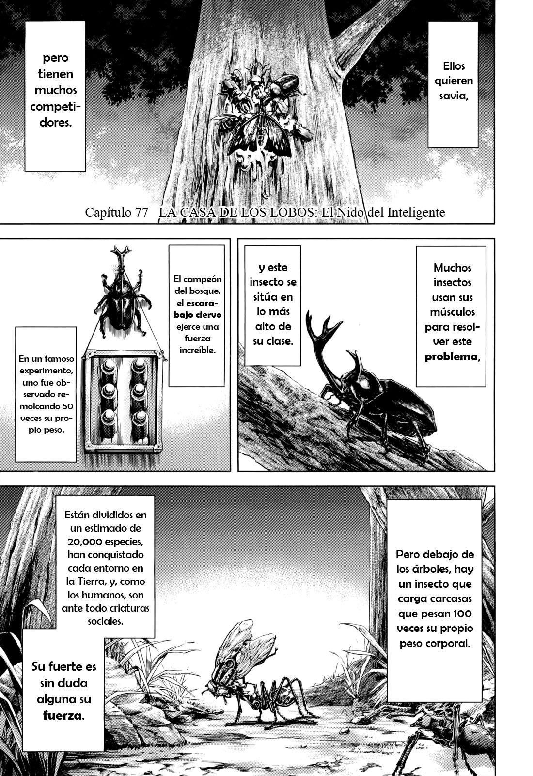 Read Terra Formars (es) Manga Online