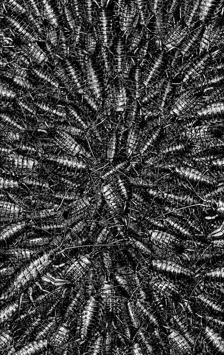 Read The Climber (es) Manga Online