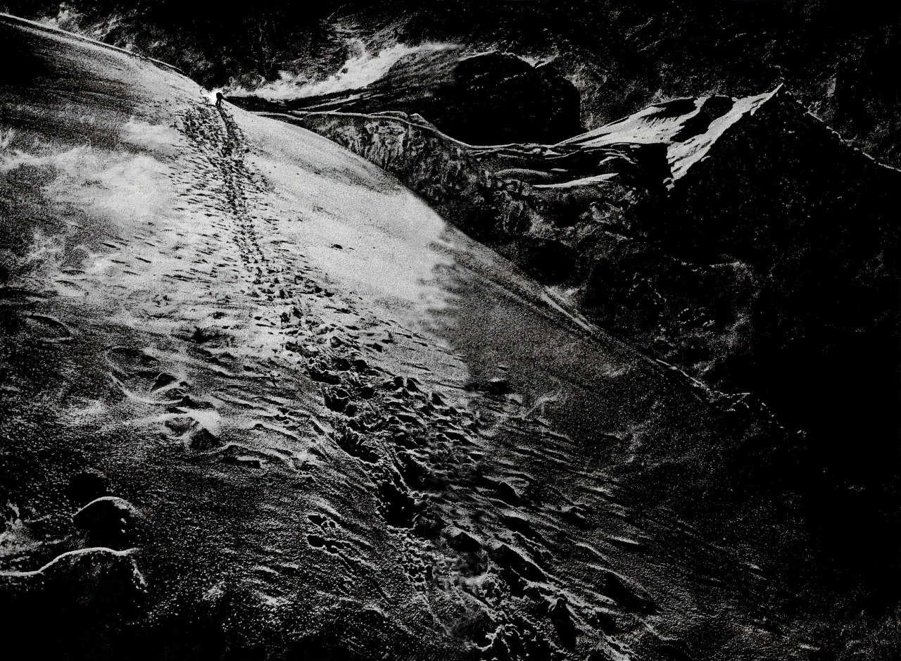 Read The Climber (es) Manga Online