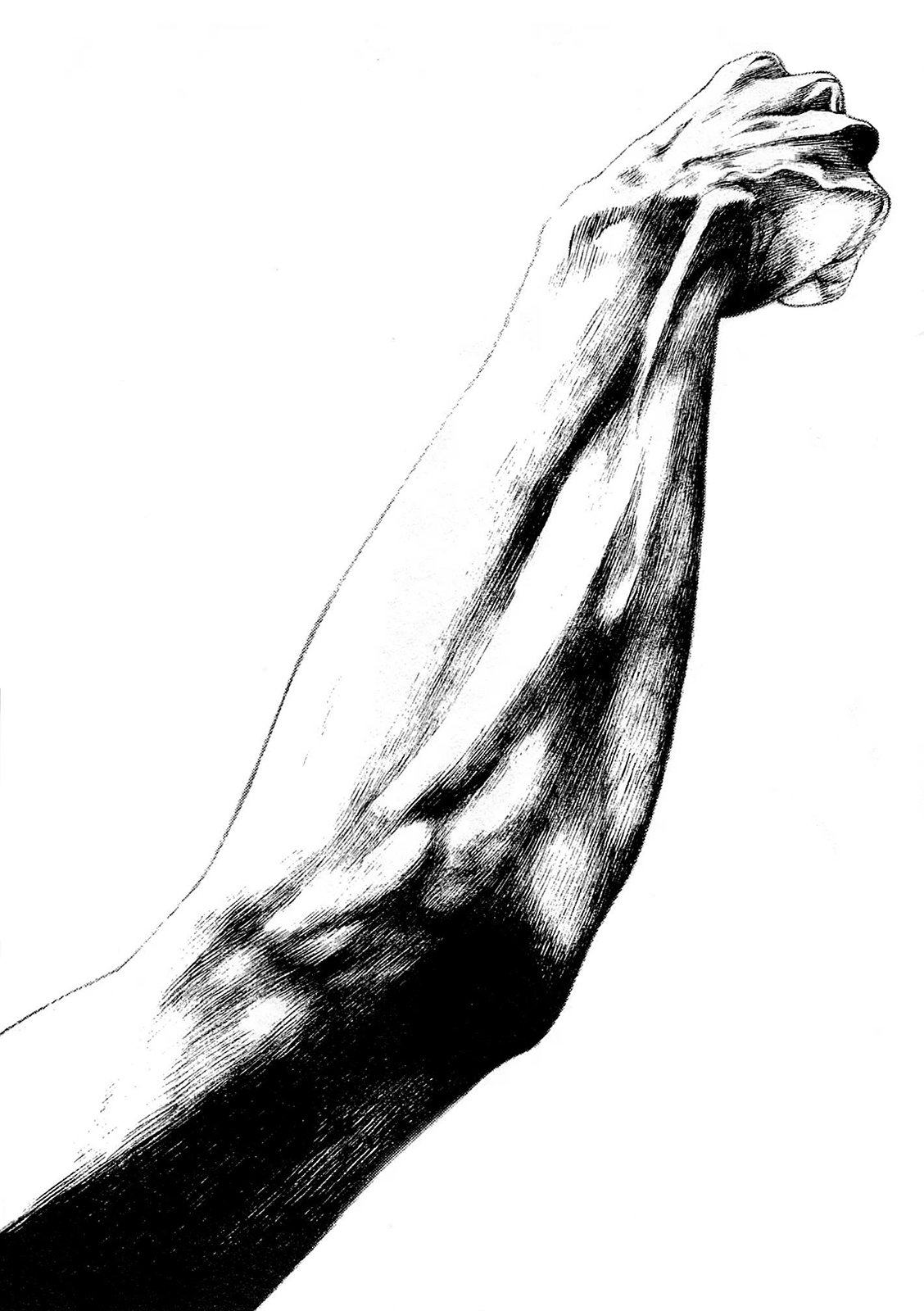 Read The Climber (es) Manga Online