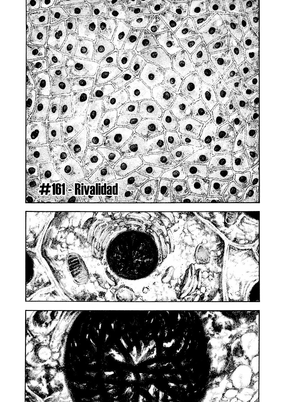 Read The Climber (es) Manga Online