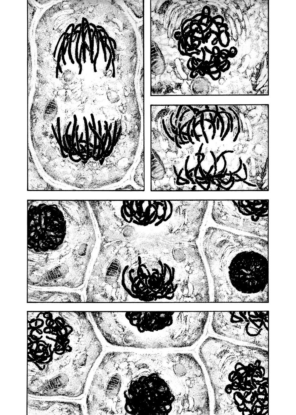 Read The Climber (es) Manga Online