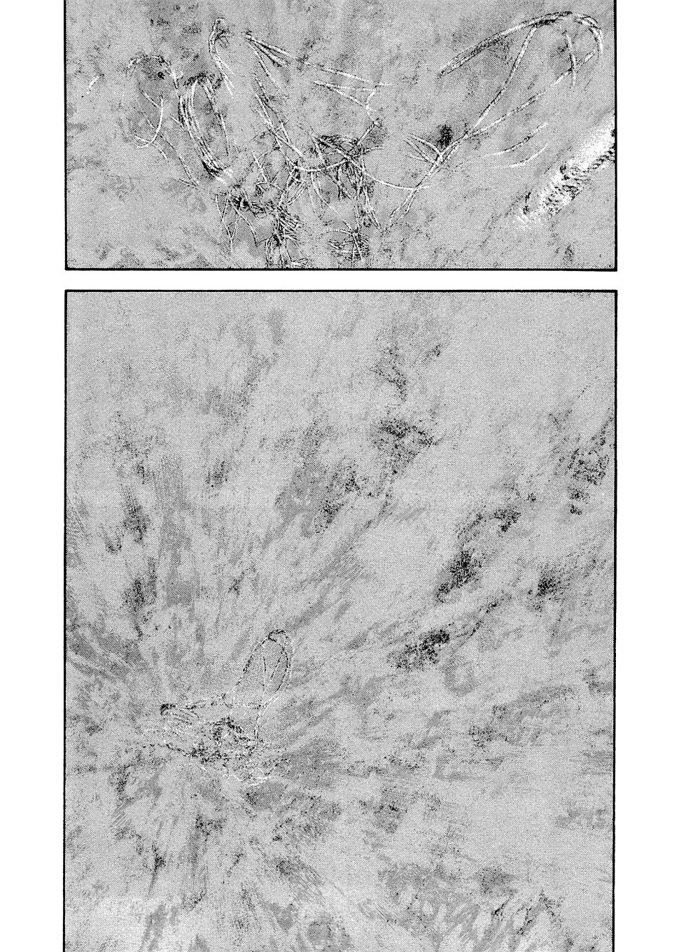 Read The Climber (es) Manga Online