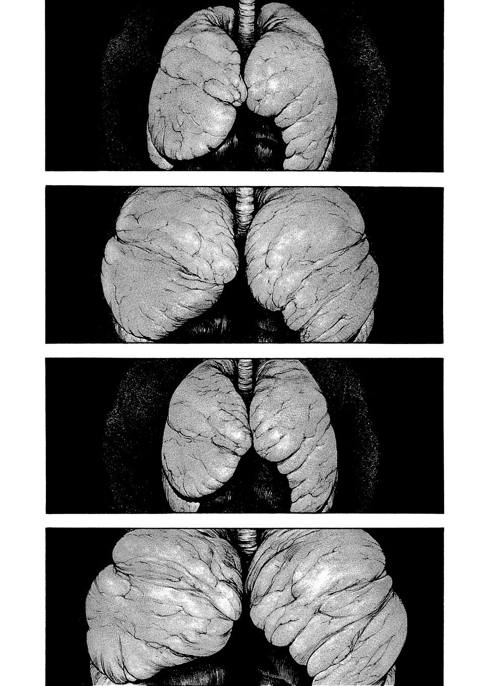 Read The Climber (es) Manga Online