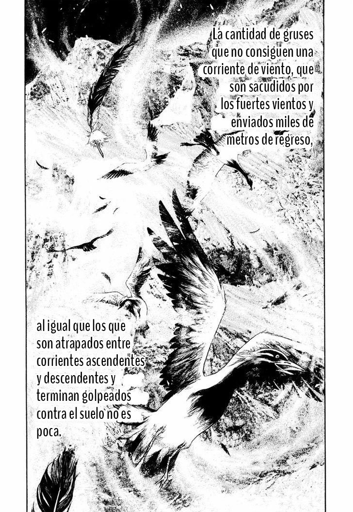 Read The Climber (es) Manga Online