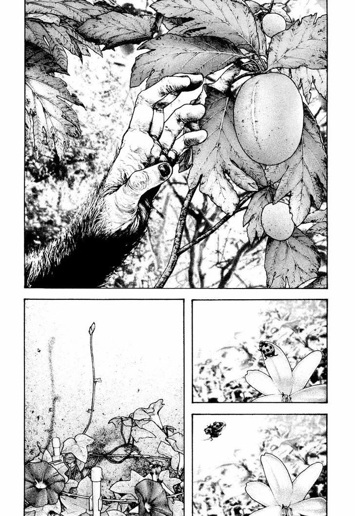 Read The Climber (es) Manga Online