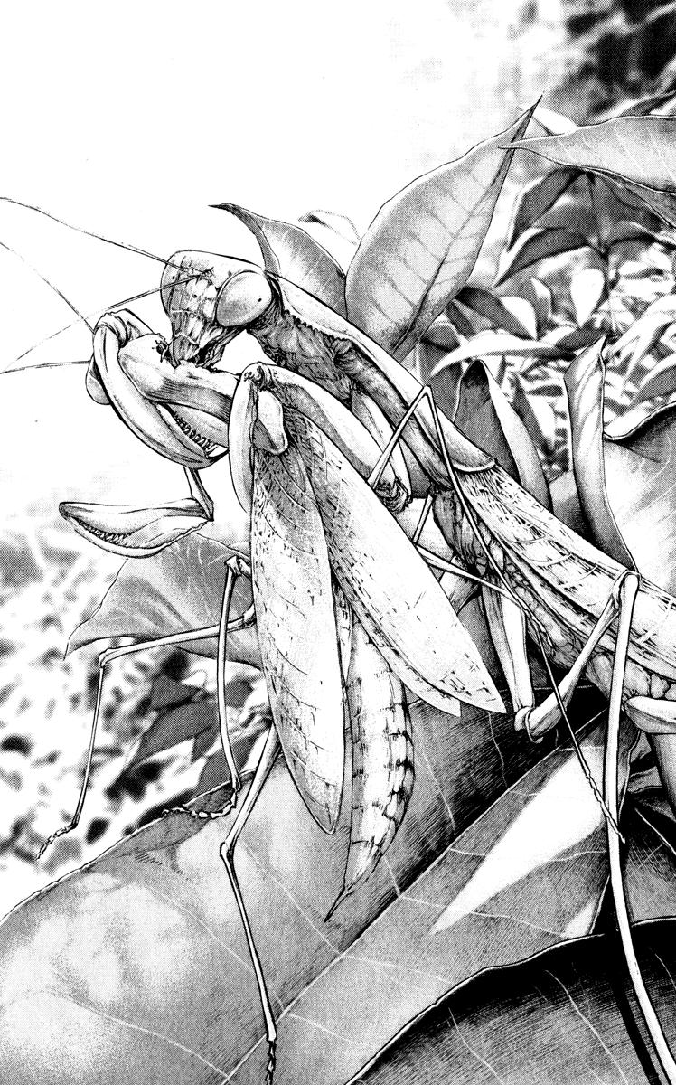 Read The Climber (es) Manga Online