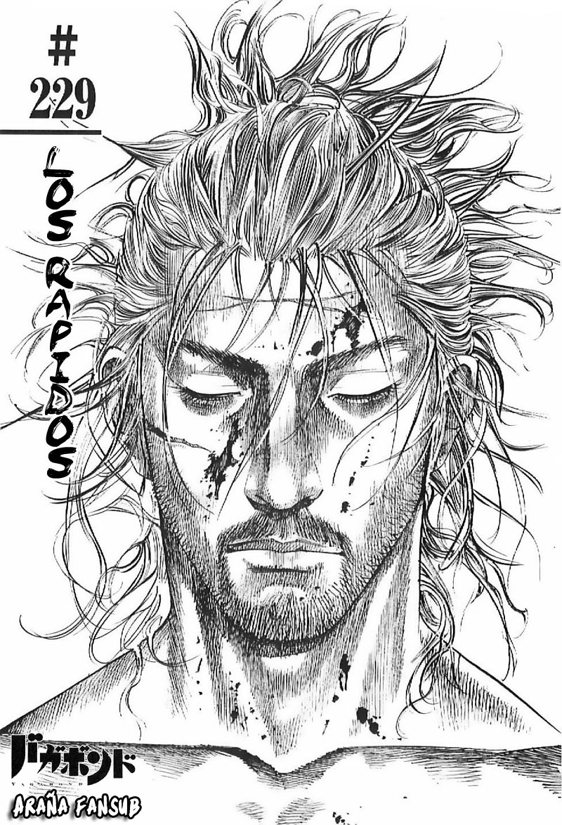 Read Vagabond (es) Manga Online