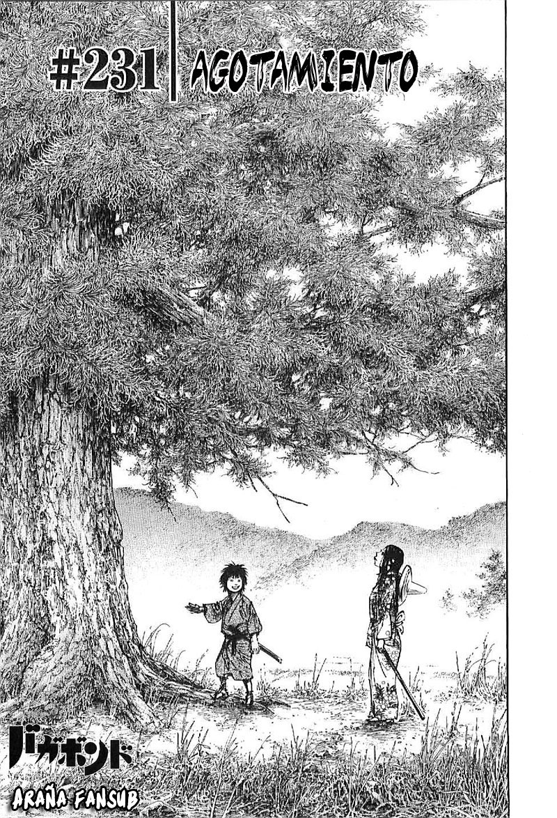 Read Vagabond (es) Manga Online