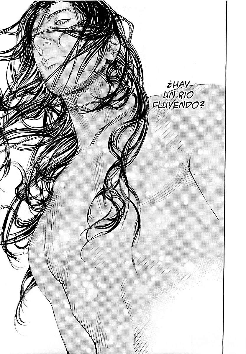 Read Vagabond (es) Manga Online