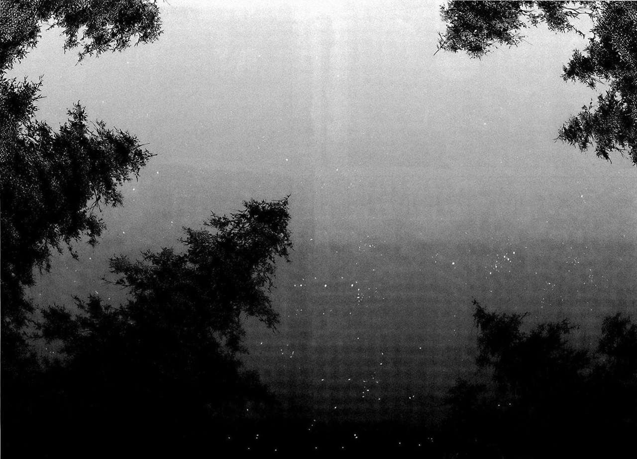 Read Vagabond (es) Manga Online