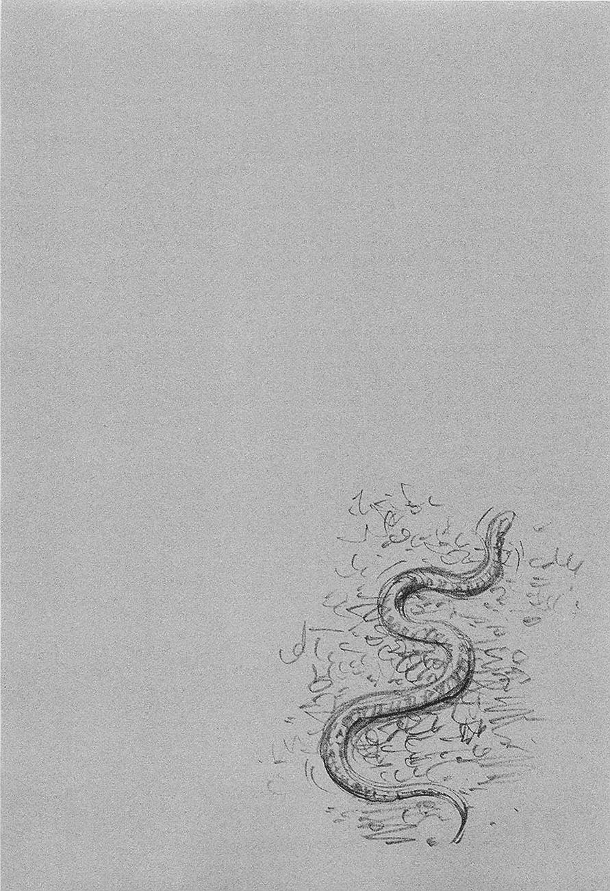 Read Vagabond (es) Manga Online