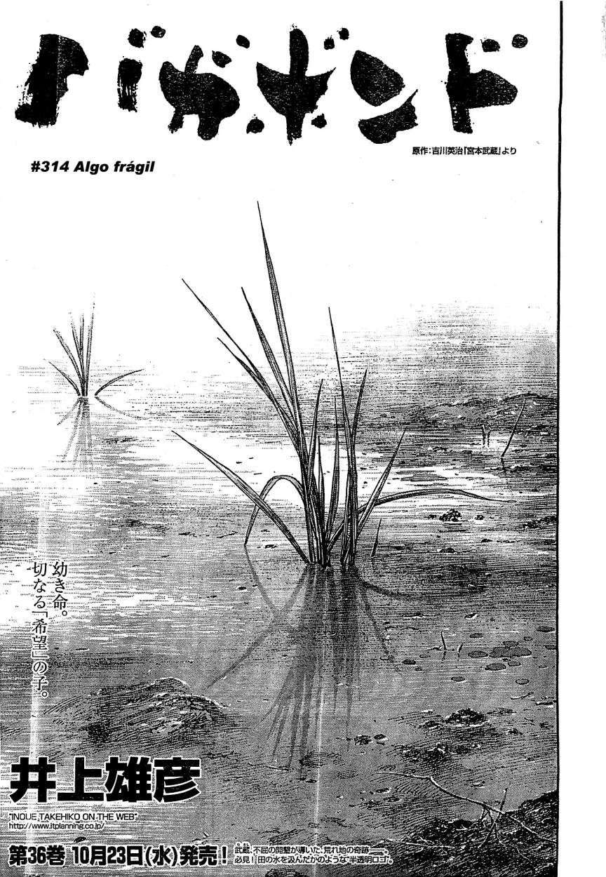 Read Vagabond (es) Manga Online