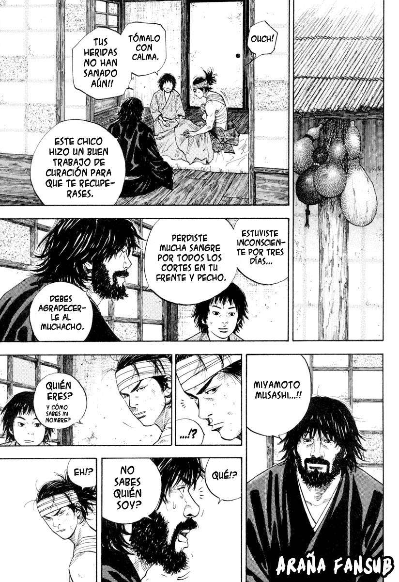 Read Vagabond (es) Manga Online