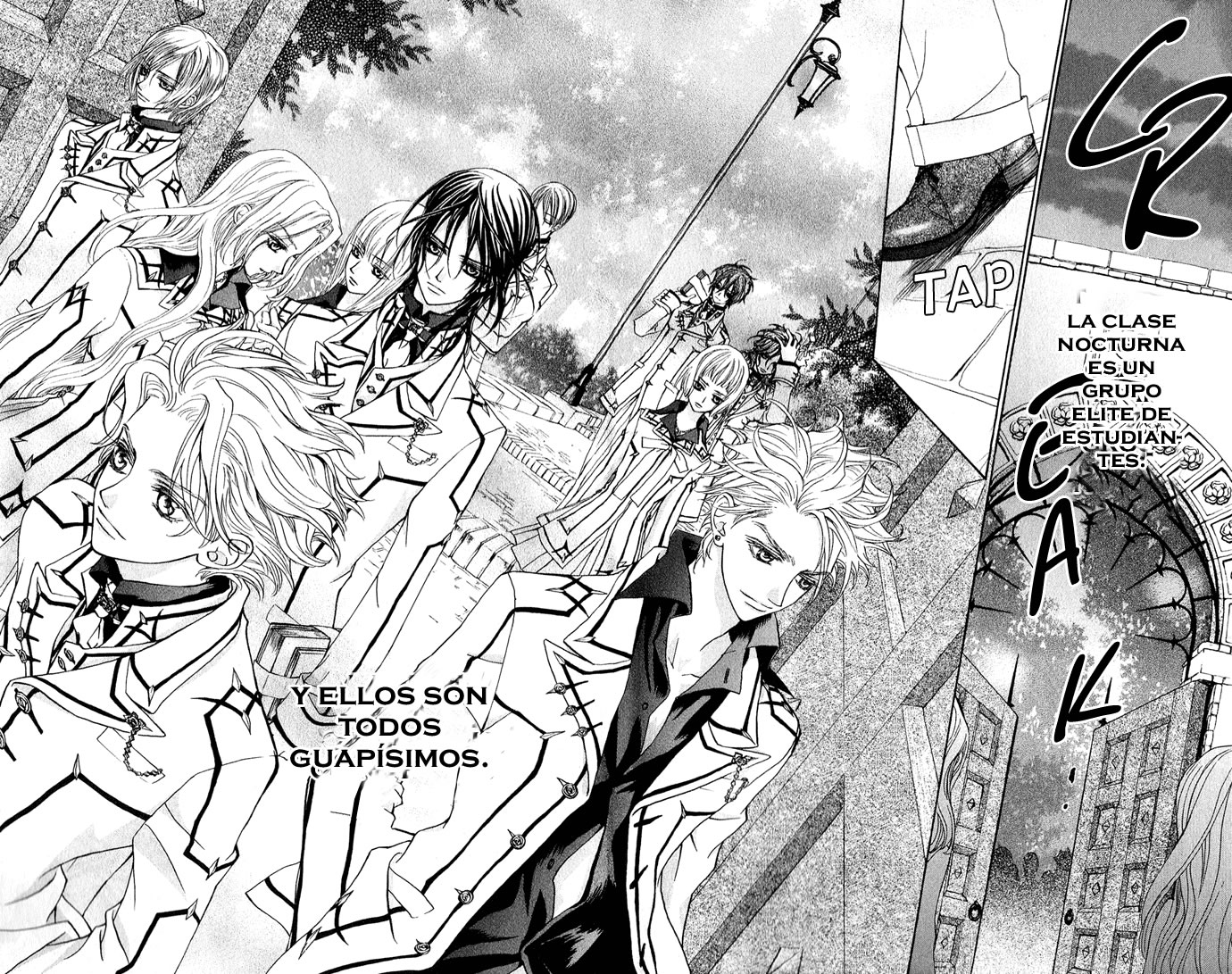 Read Vampire Knight (es) Manga Online
