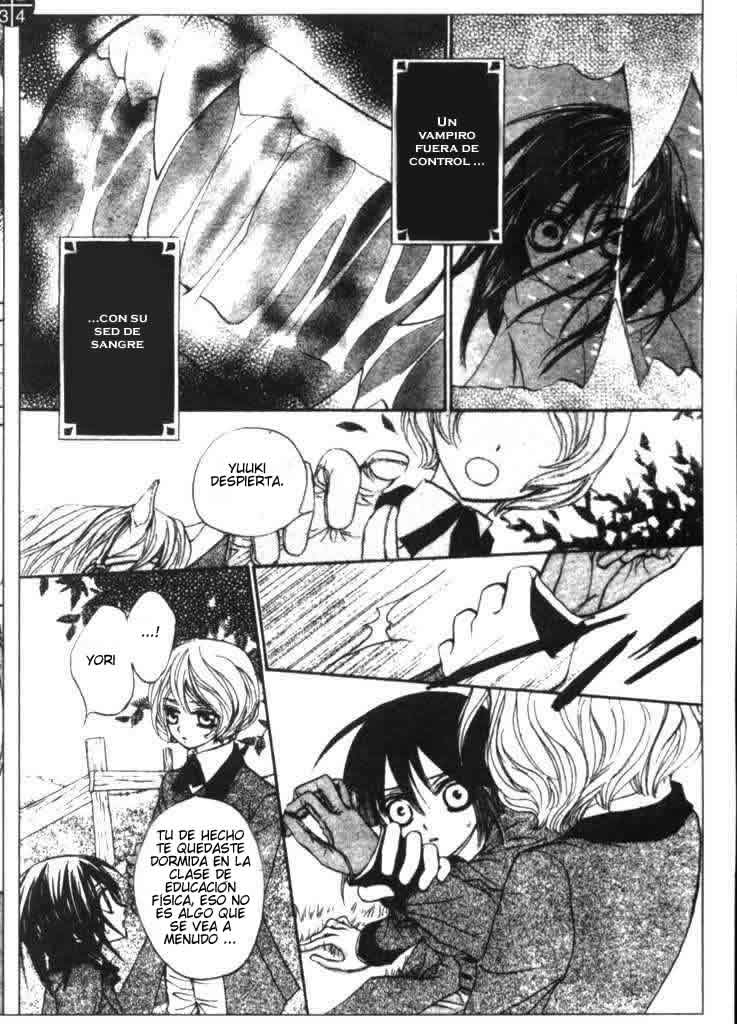 Read Vampire Knight (es) Manga Online
